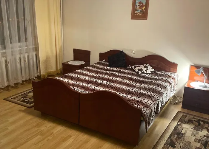 Ground Floor Close To Centre And Tourist Attractions Druskieniki
