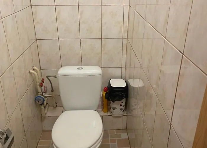 Ground Floor Close To Centre And Tourist Attractions Druskieniki